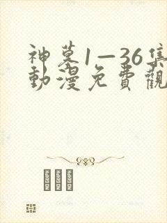神墓1—36集动漫免费观看流畅