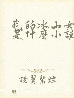 我的冰山女总裁是什么小说