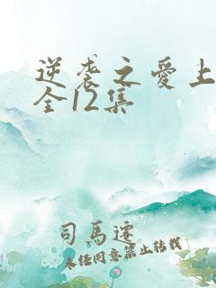 逆袭之爱上情敌全12集