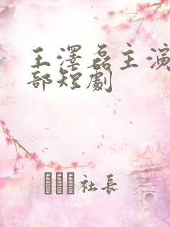 王泽磊主演的全部短剧