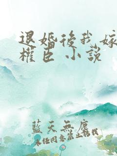 退婚后我嫁给了权臣 小说