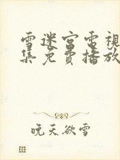 雪迷宫电视剧全集免费播放在线观看免费版