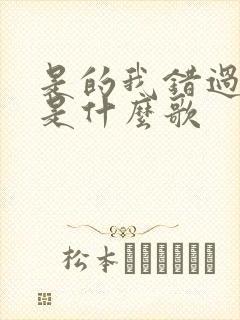 是的我错过了你是什么歌