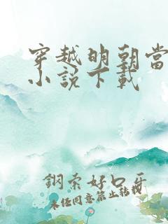 穿越明朝当皇帝小说下载