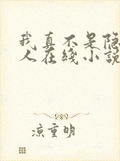 我真不是隐世高人在线小说