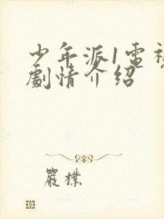 少年派1电视剧剧情介绍