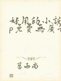 好用的小说app免费无广告