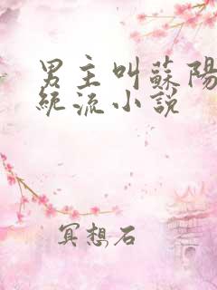 男主叫苏阳的系统流小说