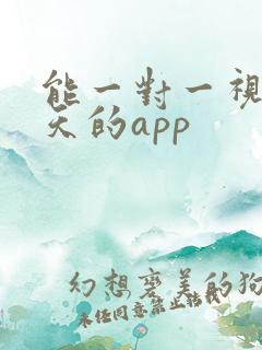 能一对一视频聊天的app