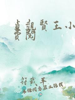 贞观贤王小说免费阅