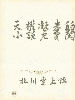 天权凝光的堕落小说免费阅读