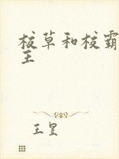 校草和校霸双男主