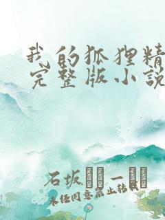 我的狐狸精后妈完整版小说