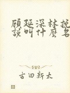 顾延深林挽音小说叫什么名字