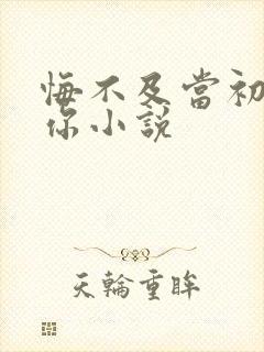 悔不及当初爱过你小说