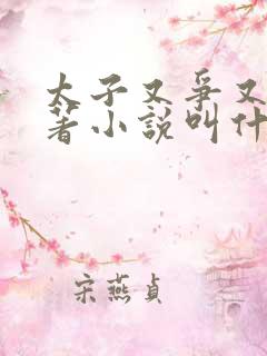 太子又争又抢原著小说叫什么名字