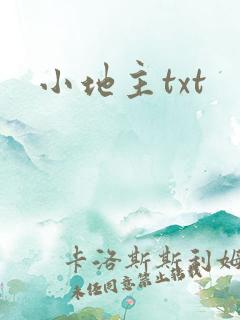 小地主txt