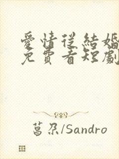 爱情从结婚开始免费看短剧