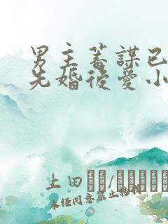 男主蓄谋已久的先婚后爱小说