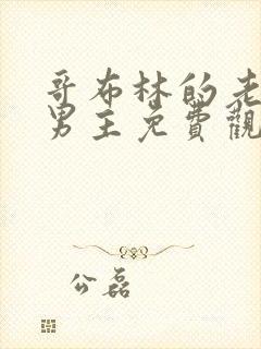 哥布林的老巢双男主免费观看动漫