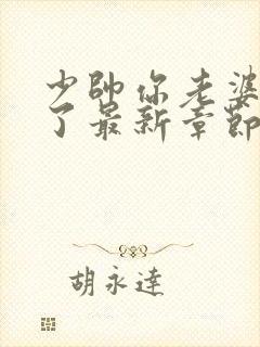 少帅你老婆又跑了最新章节列表