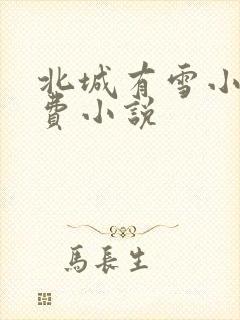 北城有雪小说免费小说