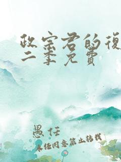 政宗君的复仇第二季免费