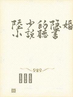 陆少的隐婚罪妻小说听书
