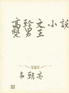 高干文小说推荐双男主