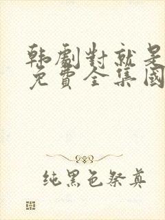 韩剧对就是那样免费全集国语版