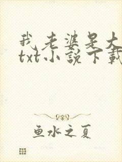 我老婆是大明星txt小说下载