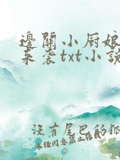 边关小厨娘团子来袭txt小说