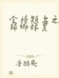 金榜题名之状元归乡林昊