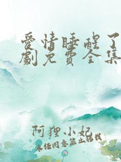 爱情睡醒了电视剧免费全集观看