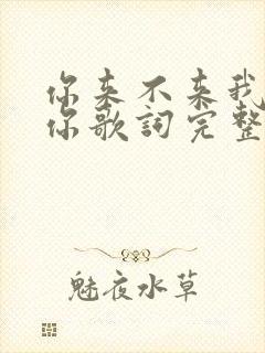 你来不来我都等你歌词完整版