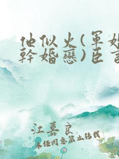 他似火(军婚高干婚恋)臣言最新章节