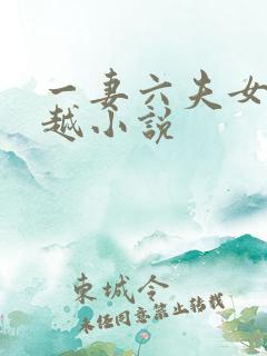 一妻六夫女主穿越小说