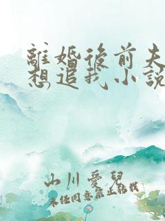 离婚后前夫总是想追我小说免费阅读