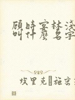 顾时宴林浅小说叫什么名字