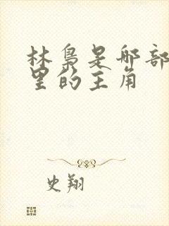 林枭是哪部小说里的主角