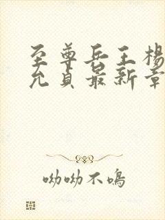 至尊兵王杨浩秋允贞最新章节