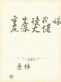 重生后我嫁给了反派大佬