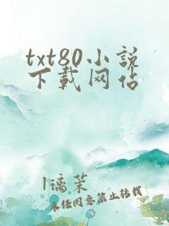 txt80小说下载网站