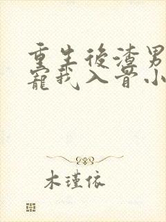 重生后渣男小叔宠我入骨小说全文免费阅读