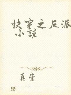 快穿之反派攻略 小说