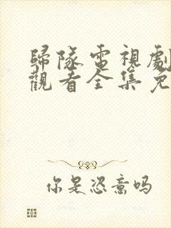 归队电视剧在线观看全集免费高清