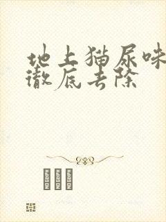 地上猫尿味怎么彻底去除