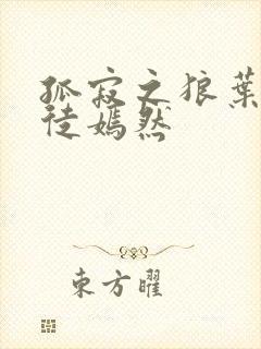 孤寂之狼叶凡司徒嫣然