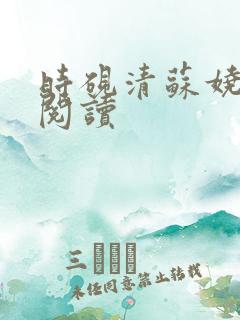 时砚清苏娆全本阅读