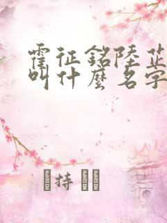 霍征铭陆芷小说叫什么名字